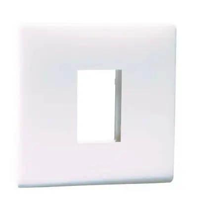 Mylinc 1M plate